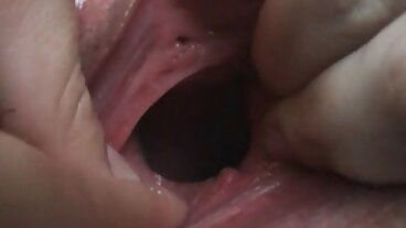 TLE இலிருந்து அழகான கேட் ஃப்ரெஷுடன் கூடிய வைப்ரேட்டர் படம்